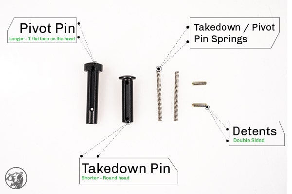 Takedown pins and springs